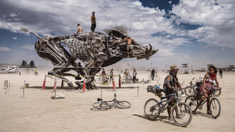 Burning man 2022 фото